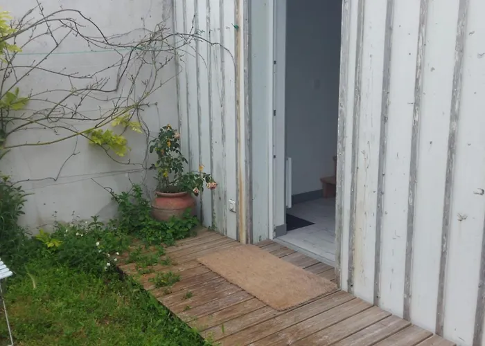 Les Minimes Bord De *